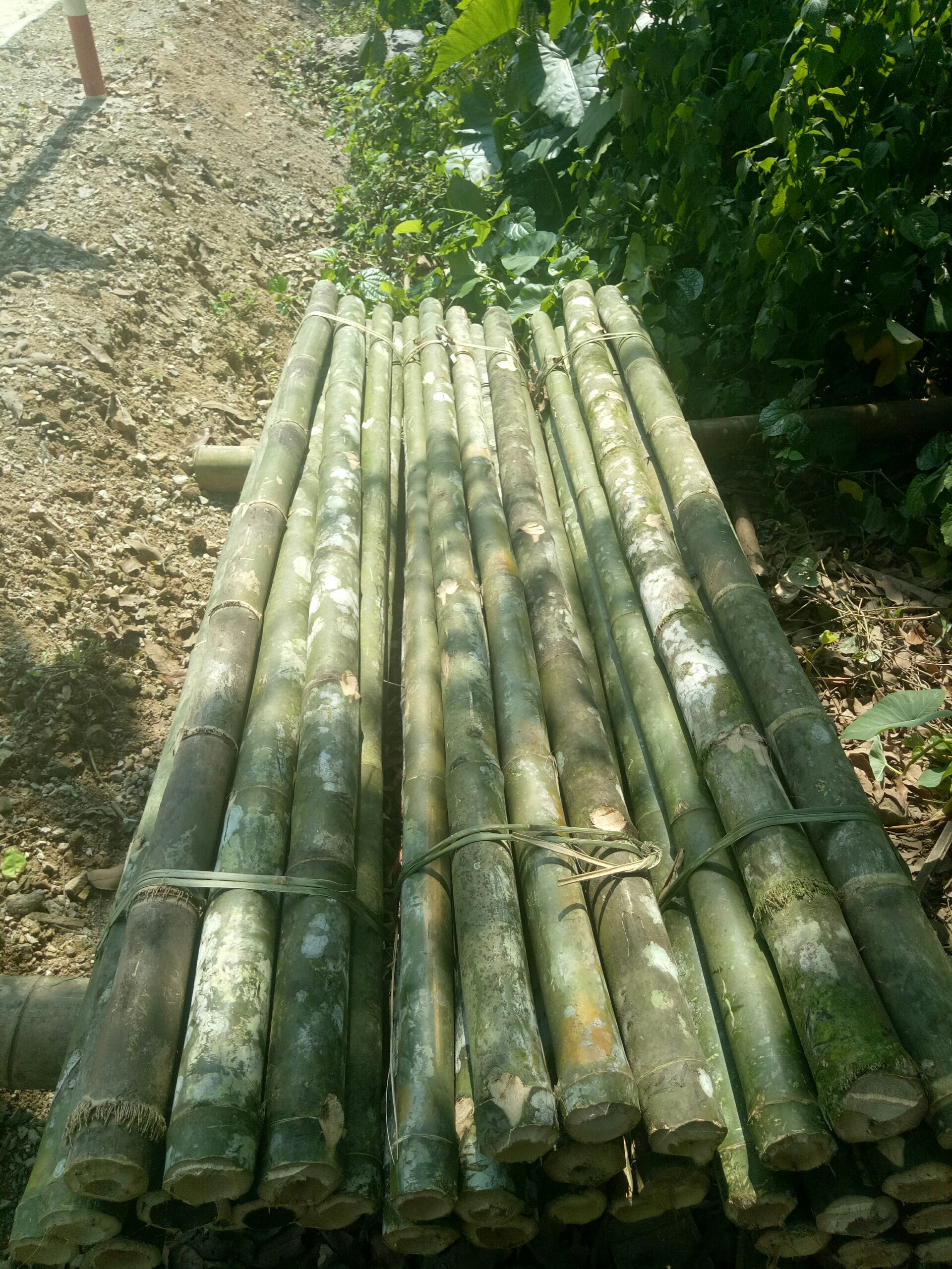 Cọc tre xây dựng Đà Nẵng