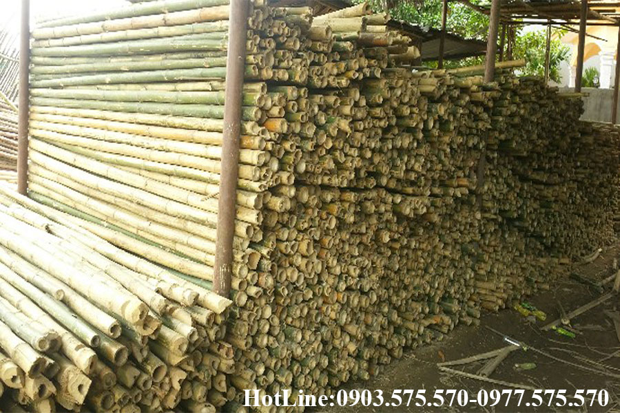 Thi công cọc tre công trình Đà Nẵng