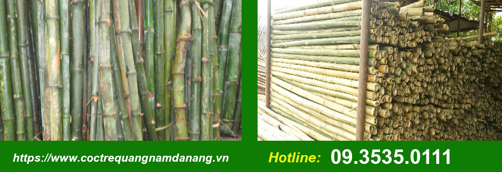 Sử Dụng Cọc Tre